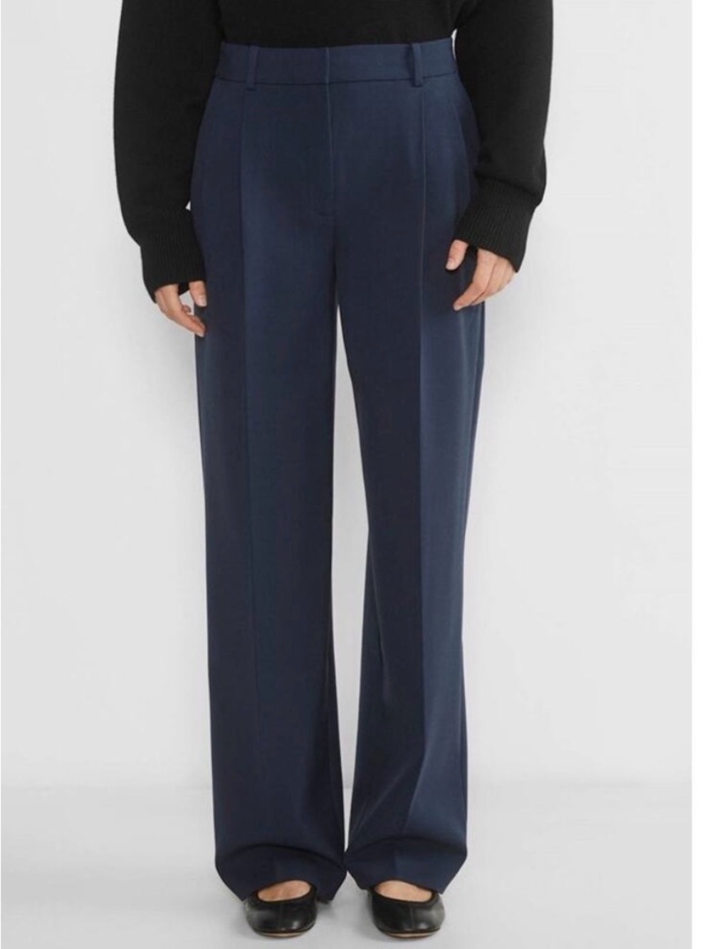NWT Babaton Aritzia Pleated Trouser - 10